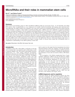 MicroRNAs and their roles in mammalian stem cells