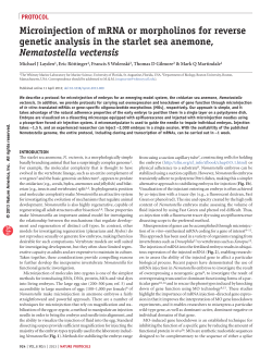 Microinjection of mRNA or morpholinos for