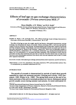 Effects of leaf age on gas exchange characteristics of avocado