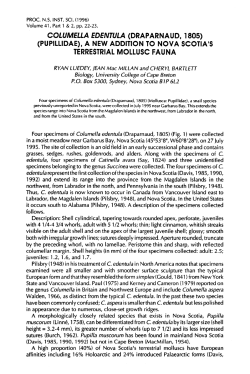 columella edentula (draparnaud, 1805)