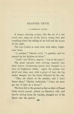 CHAPTER XXVII. A SHRILL piercing scream, like the cry