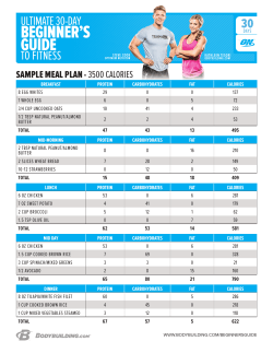 sample meal plan - 3500 calories
