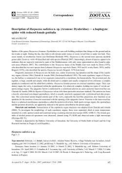 Zootaxa,Description of Harpactea sadistica n. sp.
