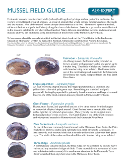 mussel field guide - Minnesota River Basin Data Center