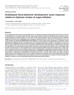 Arabidopsis floral phytomer development: auxin