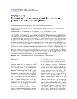 Expression of the lysosomal-associated membrane protein