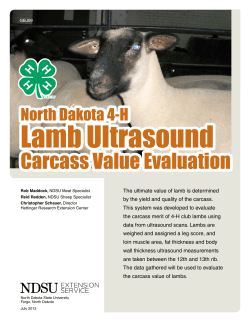 Carcass Value Evaluation