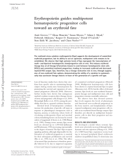 Erythropoietin guides multipotent hematopoietic progenitor