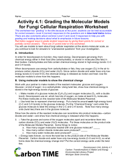 Activity 4.1: Grading the Molecular Models for Fungi Cellular