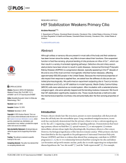 HIF Stabilization Weakens Primary Cilia