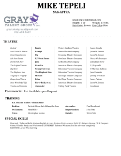 mike tepeli - Gray Talent Group