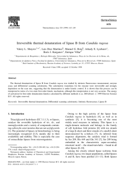 Irreversible thermal denaturation of lipase B from Candida rugosa