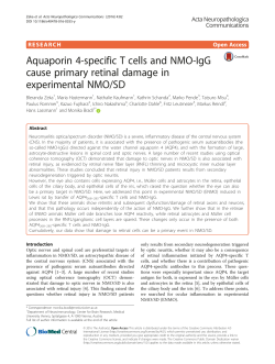 Aquaporin 4-specific T cells and NMO