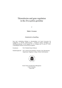 Thioredoxins and gene regulation in the Drosophila germline