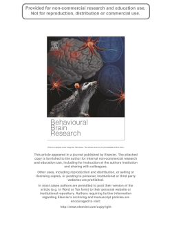 PDF version - Birkbeck, University of London