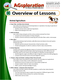 Animal Agriculture - AGNR