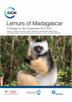Lemurs of Madagascar &ndash; A Strategy for Their Conservation 2013