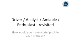 Driver / Analyst / Amiable / Enthusiast