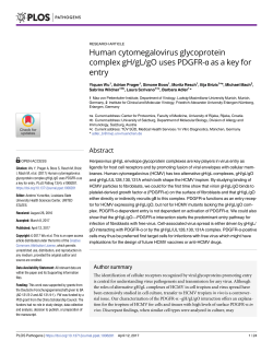 Human cytomegalovirus glycoprotein complex gH/gL/gO