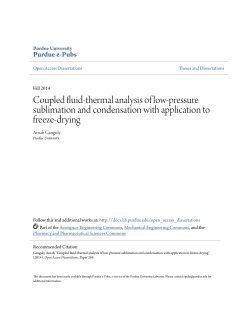Coupled fluid-thermal analysis of low
