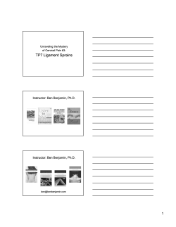 TP7 Ligament Sprains