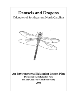 Curriculum - Airlie Gardens