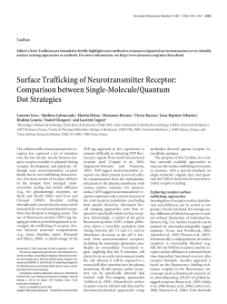 Surface Trafficking of Neurotransmitter Receptor