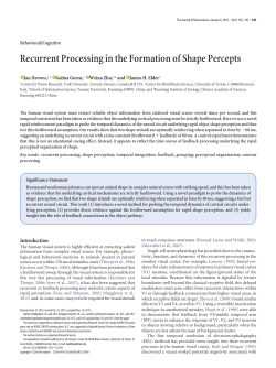 Recurrent Processing in the Formation of Shape Percepts