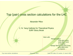 Top (pair) cross section calculations for the LHC