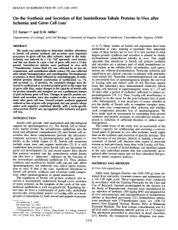 On the Synthesis and Secretion of Rat Seminiferous Tubule Proteins