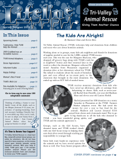 The Kids Are Alright! - Tri
