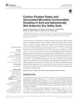 Carbon-Fixation Rates and Associated Microbial Communities