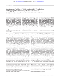 Identification of an HLA A*0201&ndash;restricted CD8 T