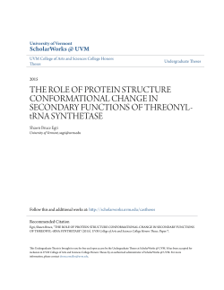 THE ROLE OF PROTEIN STRUCTURE CONFORMATIONAL