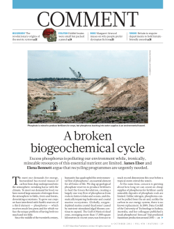 A broken biogeochemical cycle