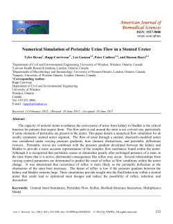Numerical Simulation of Peristaltic Urine Flow in a Stented