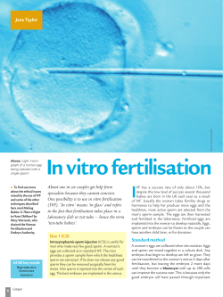 Catalyst article on In vitro fertilisation