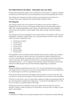 The Potted Plants for the Albion &ndash; Information and care sheet.
