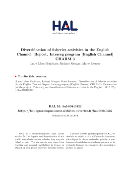 Diversification of fisheries activities in the English Channel. Report