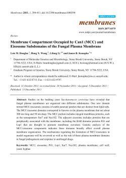 Membrane Compartment Occupied by Can1 (MCC) and Eisosome