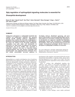 Sply regulation of sphingolipid signaling molecules
