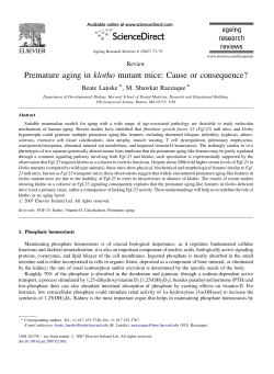 Premature aging in klotho mutant mice: Cause or consequence?