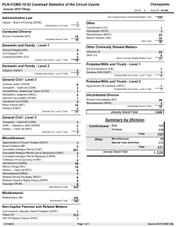 PLN-CCMS-10.02 Caseload Statistics of the Circuit Courts