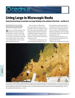 Living Large in Microscopic Nooks