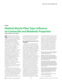 Skeletal Muscle Fiber Type: Influence on Contractile and Metabolic