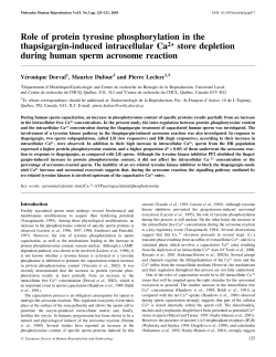 Role of protein tyrosine phosphorylation in the thapsigargin