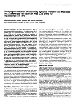 Presynaptic Inhibition of Excitatory Synaptic