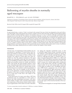 Ballooning of myelin sheaths in normally aged