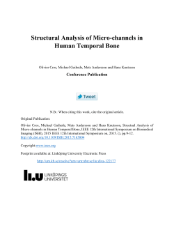 Structural Analysis of Micro-channels in Human Temporal Bone