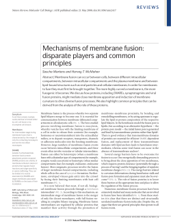 Mechanisms of membrane fusion: disparate